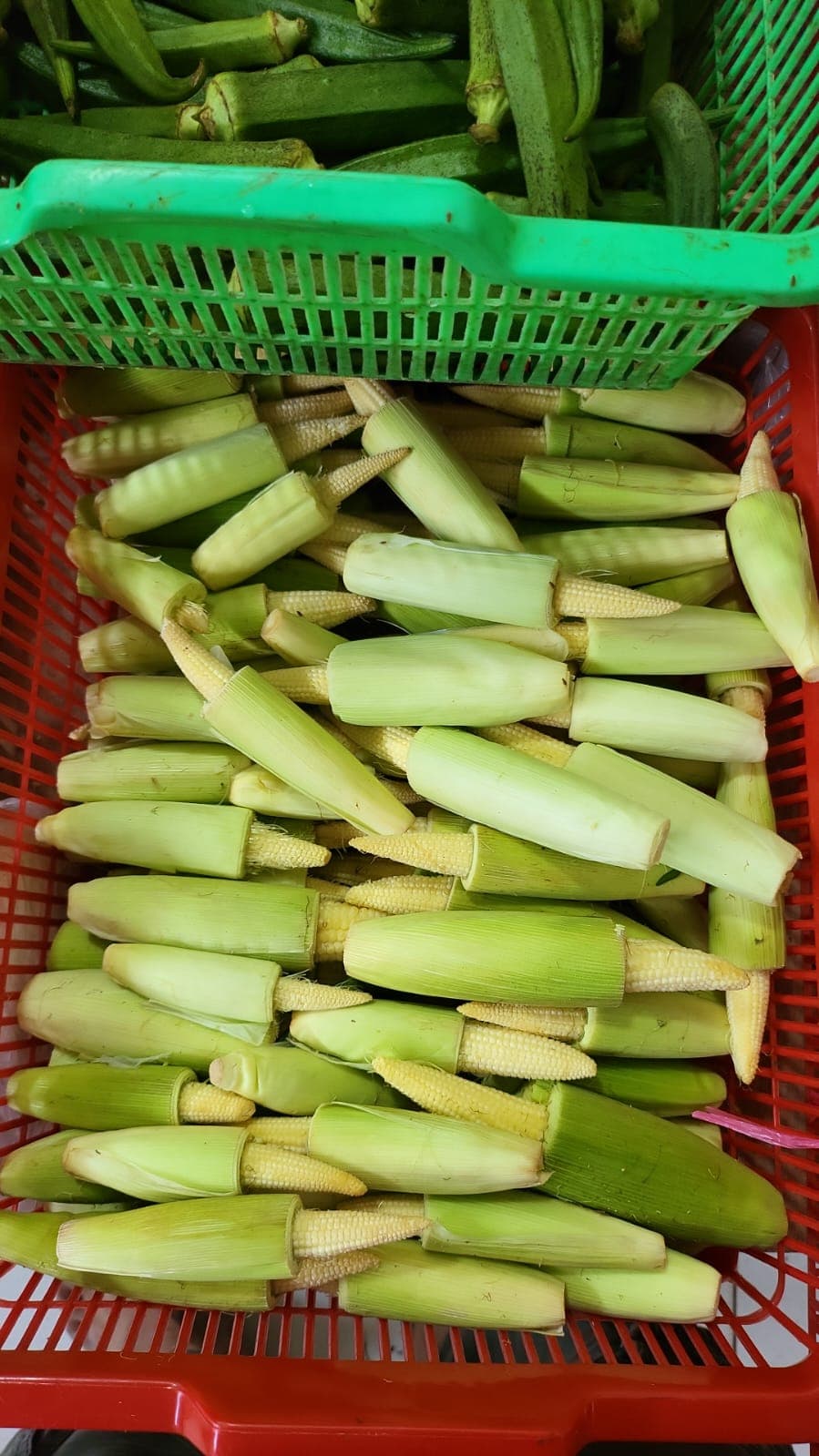 menyediakan Baby Corn