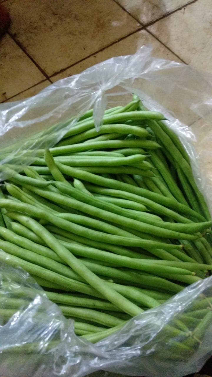 menyediakan Buncis Super