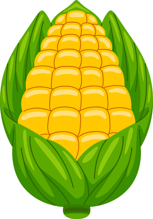 jagung