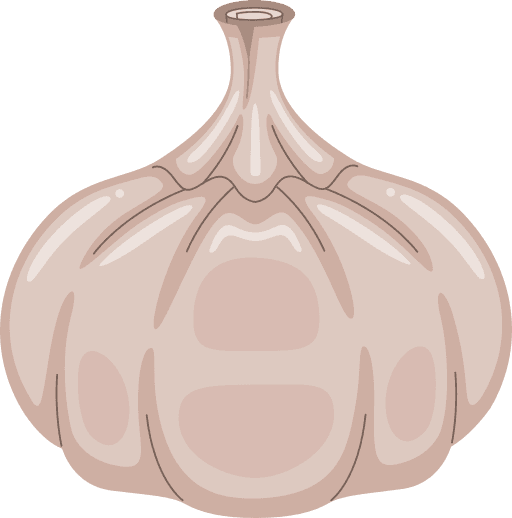 bawang putih